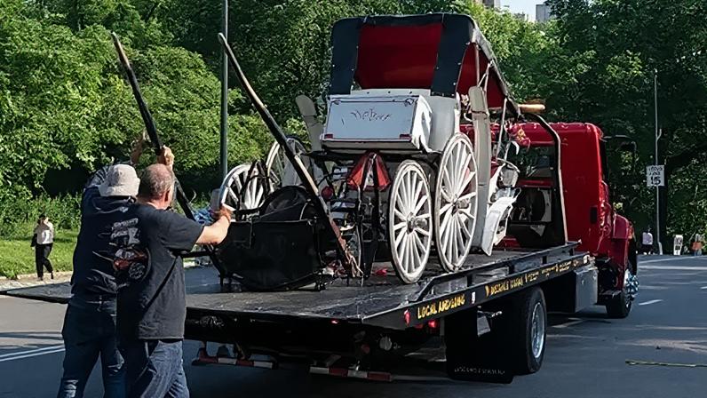 Adolescente morre em acidente com carroça puxada por cavalo em Nova York