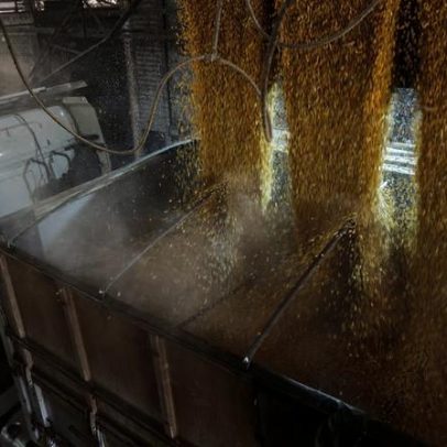 Safra recorde deste ano deve crescer, com recuo em arroz, trigo e feijão
