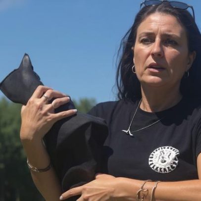 Tutora resgata gato após carro cair em lago na Itália