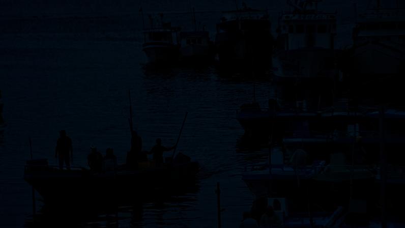 Fishermen arrive to port in San Mateo, Ecuador, on 25 September 2024.