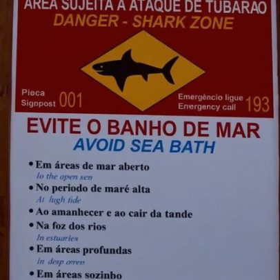 Recife: litoral geográfico atrai tubarões, revelando riscos à costa