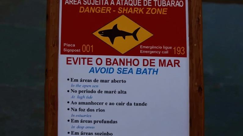 Tubarao