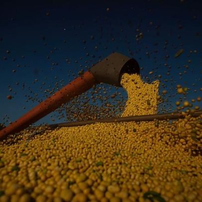 Conab aponta produção de grãos pode chegar a 358,6 milhões de toneladas