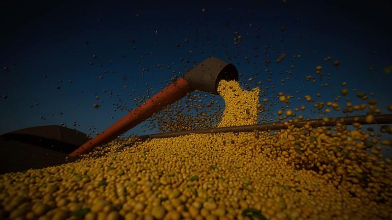 Colheita de soja, agricultura