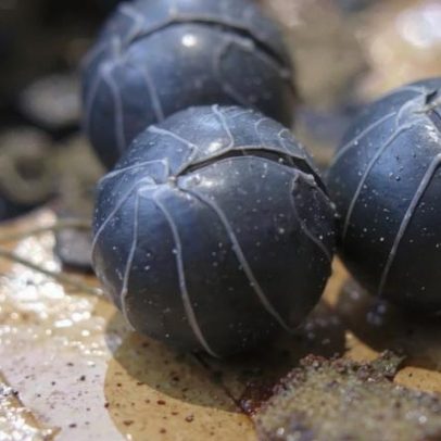Robô explorador de Marte é esfera repleta de drones em formato dente-de-leão