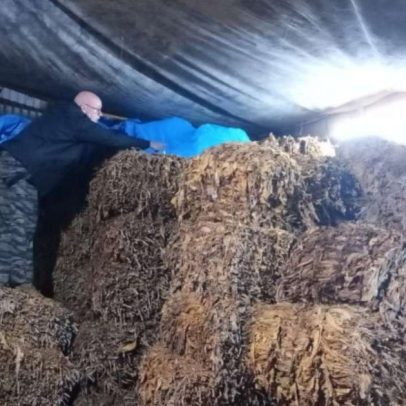 Operação mira furtos de tabaco e fiscaliza 38 toneladas no RS