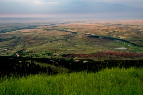 The Bighorn national forest in Montana on 9 July 2018.