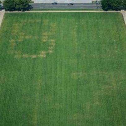 Autoridades dos EUA investigam gravação com o número 8647 no National Mall