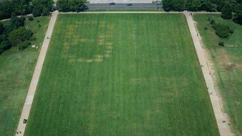 Authorities responded to a large tracing of the term 8647 into the grounds of the National Mall in Washington DC, on 11 June.