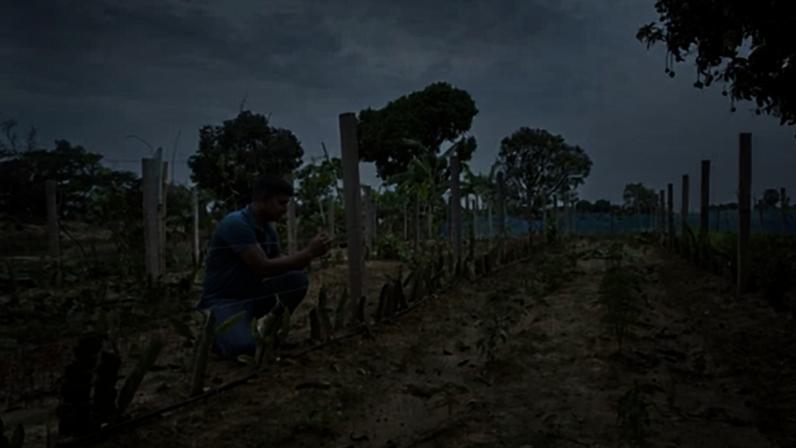Mohammad Asif, 27, tends to his rice crops in Tilibari, north-west Bangladesh. He can no longer rely on farming to provide for his family.