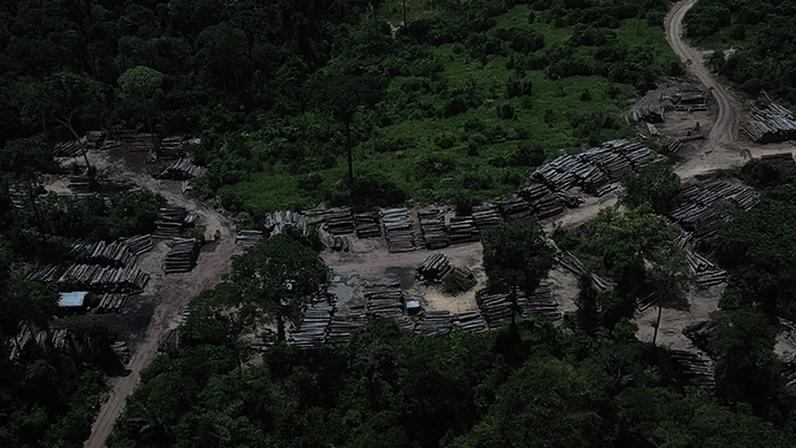 Área de desmatamento ilegal descoberta após monitoramento via satélite