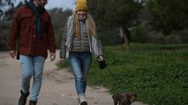 Adaptar a rotina dos passeios é essencial para reduzir o impacto do frio na saúde dos cães