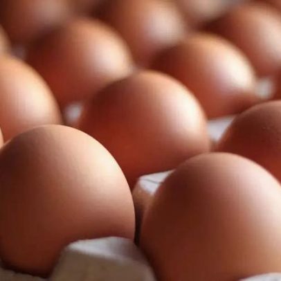 Receitas rápidas com ovos para simplificar suas refeições