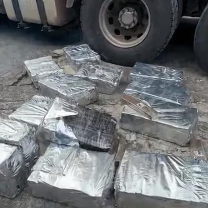 Polícia do RJ apreende quase 1 tonelada de maconha em caminhão com madeira