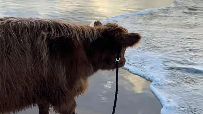 Matilda foi filmada em uma praia de Nova Gales do Sul, na Austrália