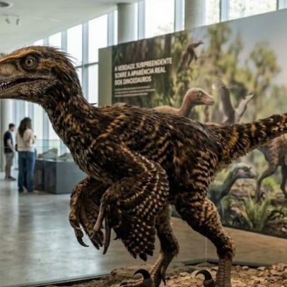 Dinossauros: ciência revela a aparência real estimada