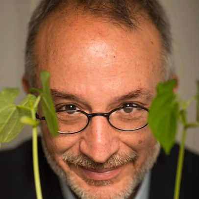 A revolução silenciosa das plantas transforma ciência e cultivo