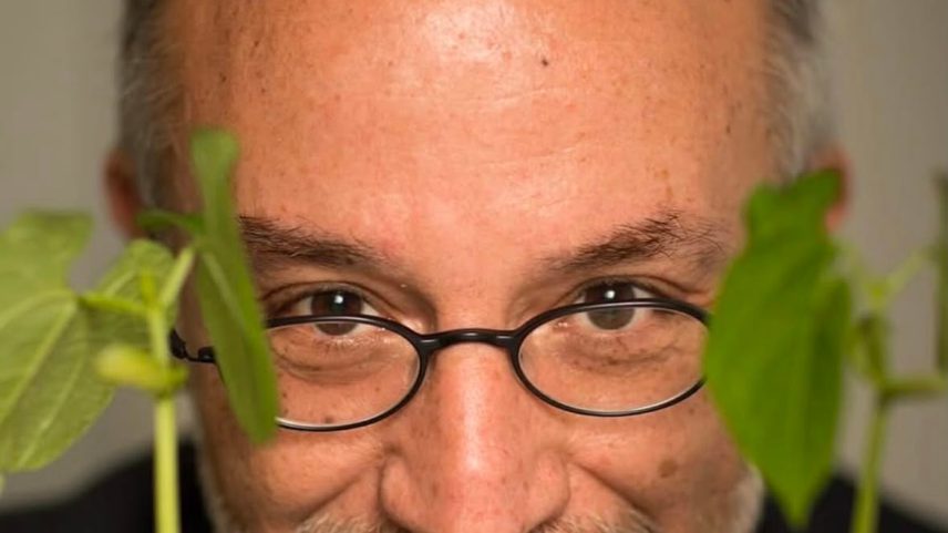 Stefano Mancuso, neurobotânico e professor