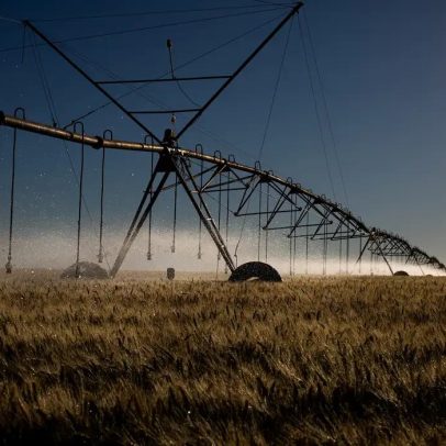 Plano chinês e veto europeu pressionam o agro brasileiro