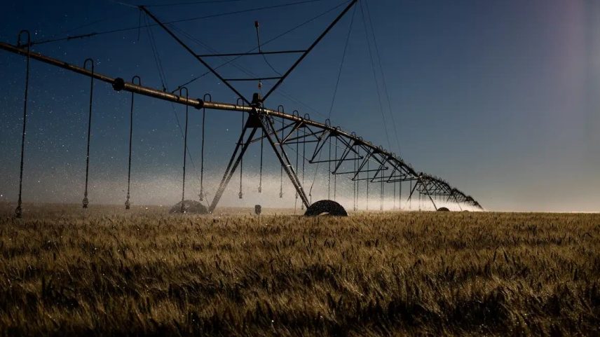 Especialistas dizem que Brasil precisa diversificar mercados para o agro diante do cenário