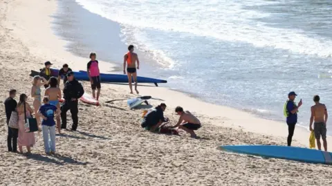 Mulher fica gravemente ferida em ataque de tubarão em praia de Sydney
