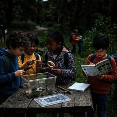 Parque Pedra da Cebola vira sala de aula ao ar livre em Vitória