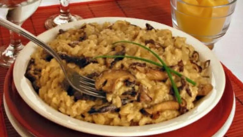 Guia da Cozinha