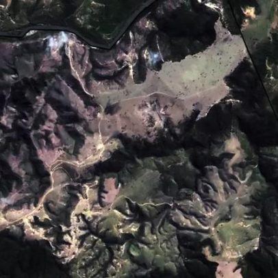 Quase metade das áreas conservadas de floresta são propriedades rurais
