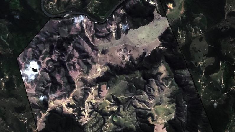 Quase metade das áreas conservadas de floresta são propriedades rurais