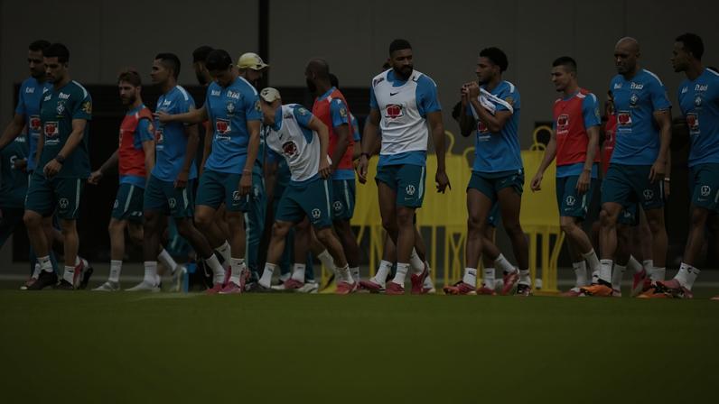 Canarinho rouba a cena em treino do Brasil –