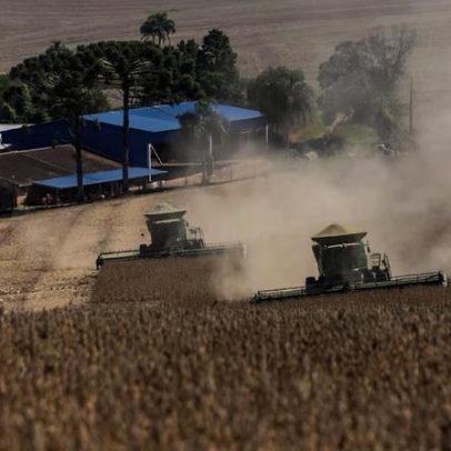 Credores veem recuperação de produtor como proteção para sócio