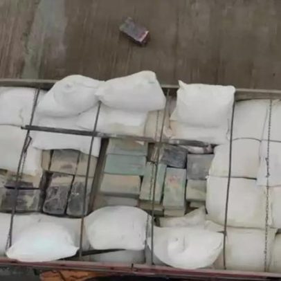 PRF apreende 800 kg de maconha ocultos em carga de ração na BR-386