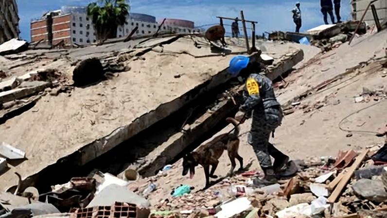 Terremotos na Venezuela: mortos sobem para mais de 1.400