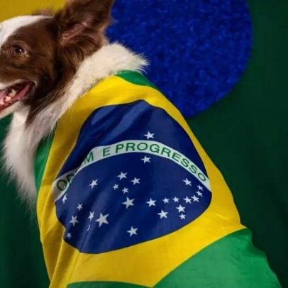 Seleção brasileira: 13 nomes de cães inspirados em grandes jogadores