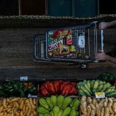 Cooperativas do Paraná avançam com apoio à segurança alimentar