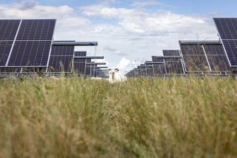 Solar produz mais energia nos EUA do que o carvão pela primeira vez
