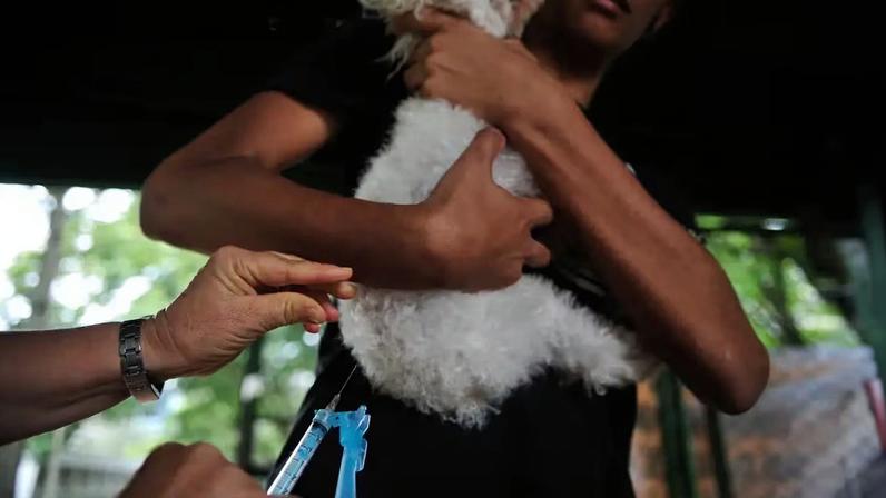 A pena para o crime pode variar de 6 meses a 2 anos