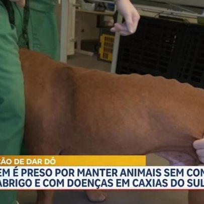 Homem é preso por maus-tratos a oito animais em Caxias do Sul
