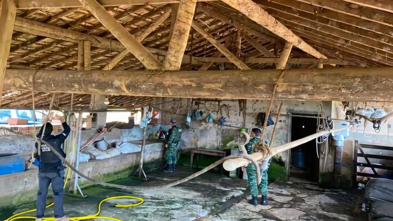 Polícia Civil constatou ainda elementos que podem indicar prática de crime ambiental