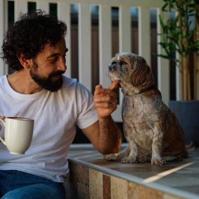 Como ganhar a confiança do seu cachorro com 7 dicas