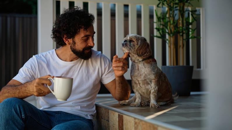 Conquistar a confiança do cachorro é um dos passos mais importantes para garantir o bem-estar do animal
