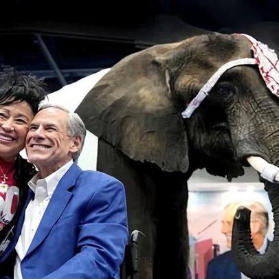 Elefante faz xixi no piso da convenção republicana do Texas