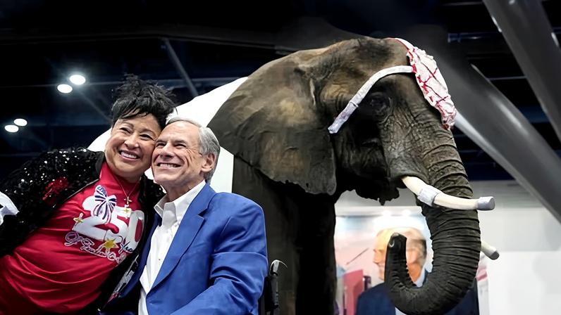 Elefante faz xixi no piso da convenção republicana do Texas