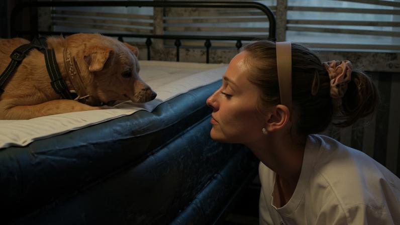 Ariana Grande celebra 13 anos do cãozinho Toulouse com declaração emocionante — Foto: Reprodução/Instagram