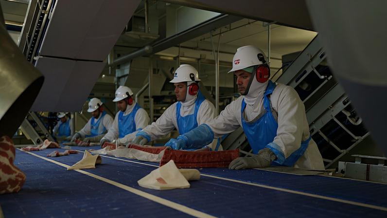 Exportações brasileiras de carne para a UE podem ser interrompidas a partir de setembro (Foto: Albari Rosa/Gazeta do Povo)