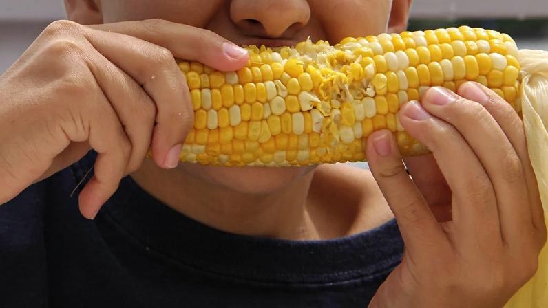 Milho cozido é um dos sabores das festas juninas, mas cuidado com a saúde bucal ao consumir alimentos típicos - (crédito: Divulgação)
