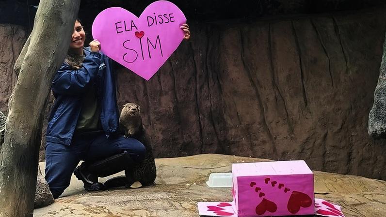 Lontra Eva "disse sim" a Carlos em celebração do Dia dos Namorados, marcando a formação do novo casal no Oceanic Aquarium - (crédito: Divulgação)