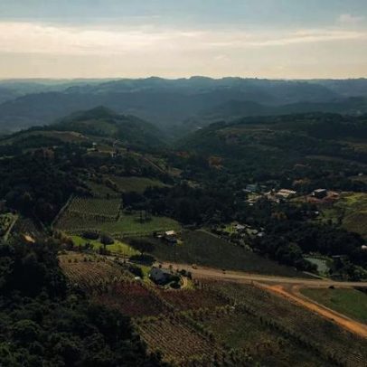 Festival Viva o RS leva gastronomia, cultura e turismo a Caxias do Sul