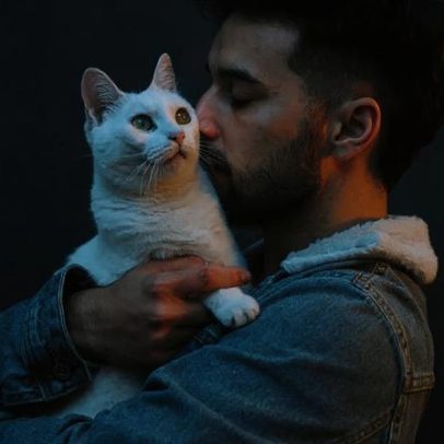 Acariciar gatos pode aumentar irritação, aponta estudo