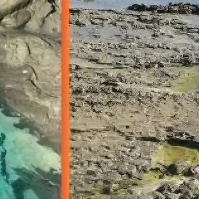 Salvador declara emergência em praia por contaminação tóxica
